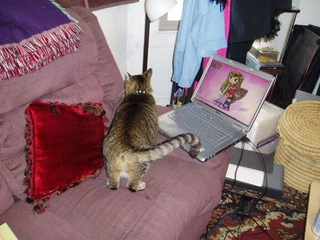 Illustration for article titled Work and Play: A Peek Inside the Lives of Gaming's Insiders